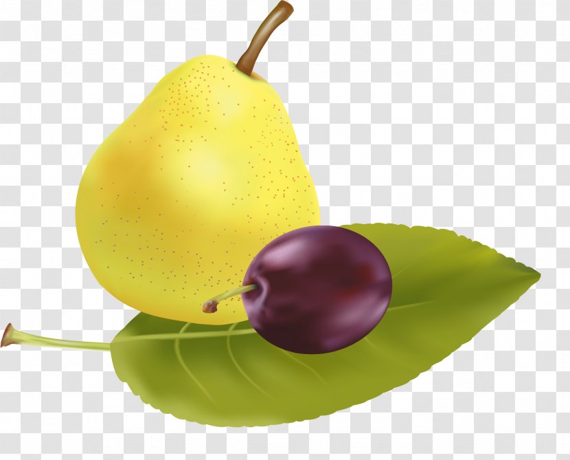 Pear Laiyang Gratis Fruit - Elements Transparent PNG