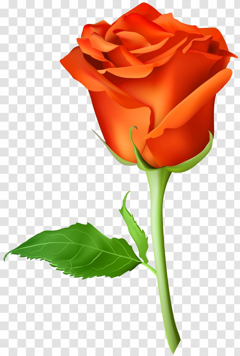 Blue Rose Artificial Flower - Close Up - Orange Transparent Clip Art Image Transparent PNG