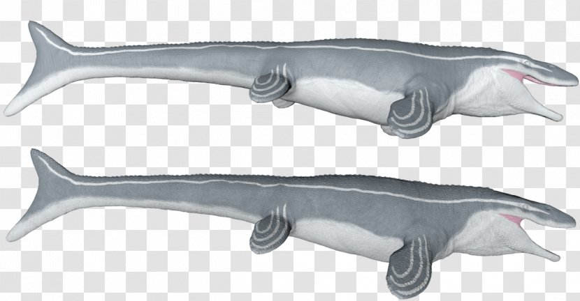Mosasaurus Great White Shark Squaliform Sharks Mosasaurs Saurophaganax - Squaliformes - Megalodon Vs Transparent PNG