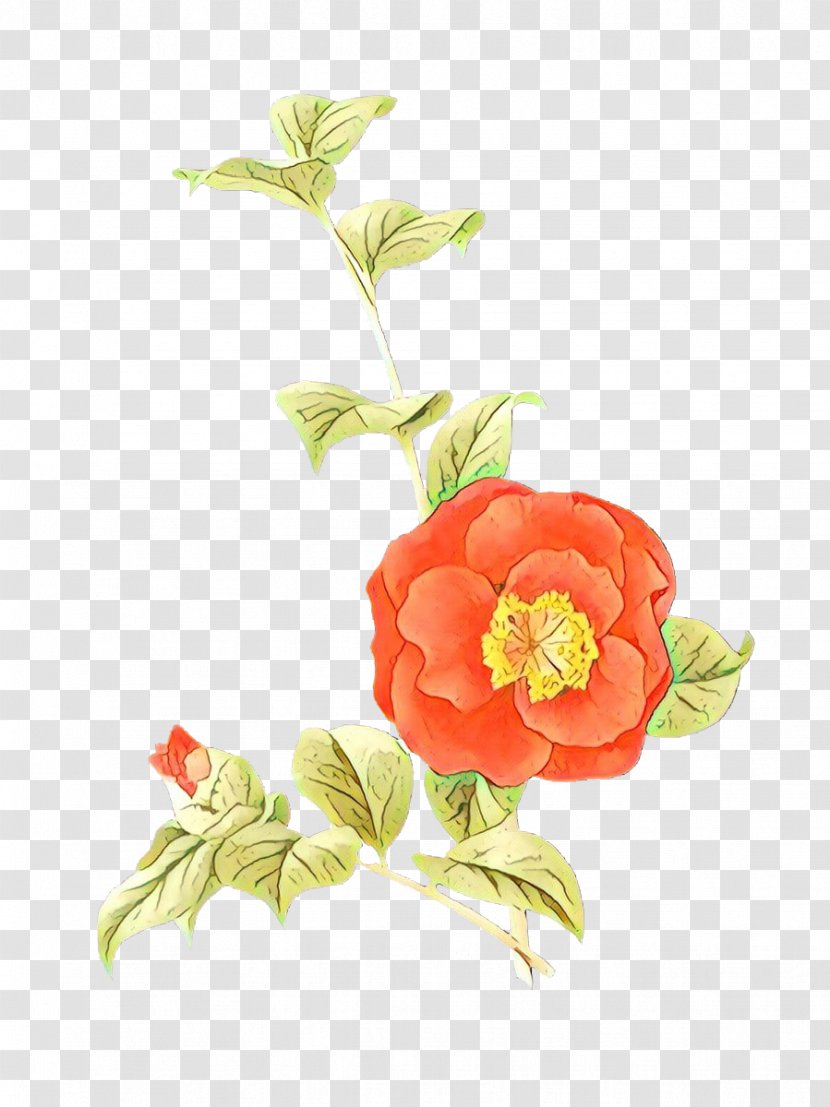 Watercolor Flower Background - Paint - Artificial Impatiens Transparent PNG