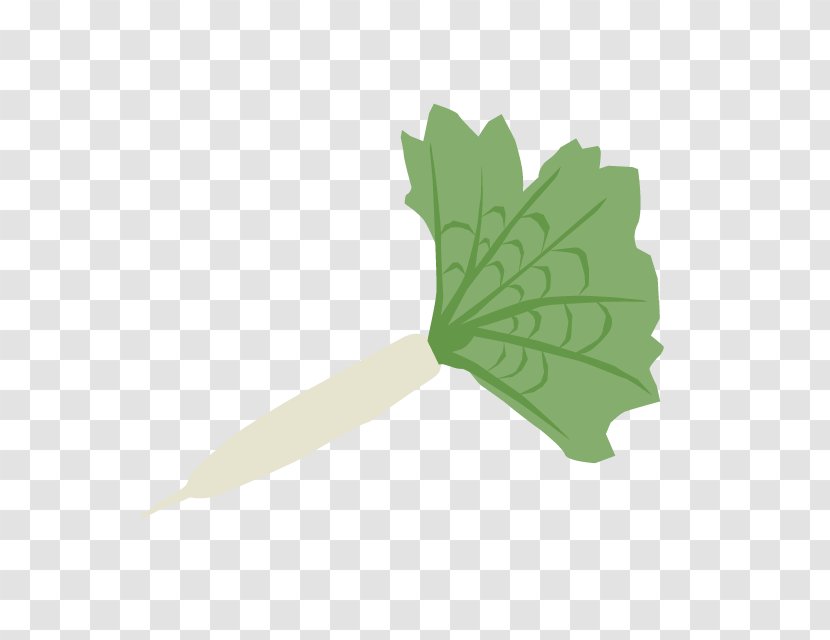 Chinese Cabbage Greens Cuisine Leaf Transparent PNG