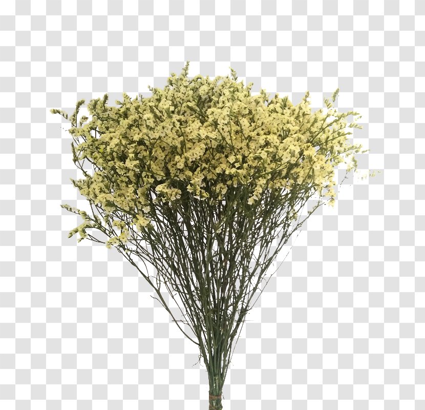 Flower Bouquet Nosegay Wedding - Branch - Dried Transparent PNG
