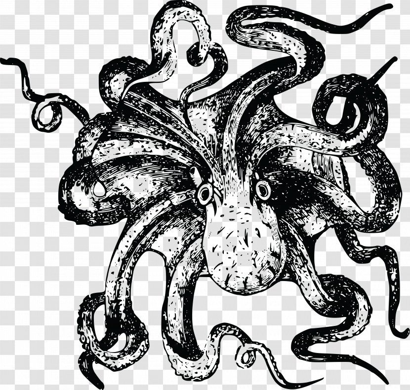 Octopus Sea Monster Drawing Clip Art - Giant Squid - Octopus. Transparent PNG