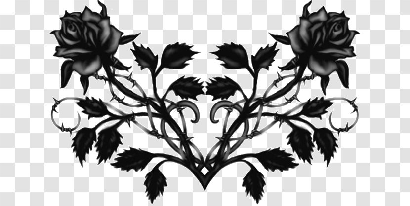 Black Rose Flower Drawing - Flora Transparent PNG