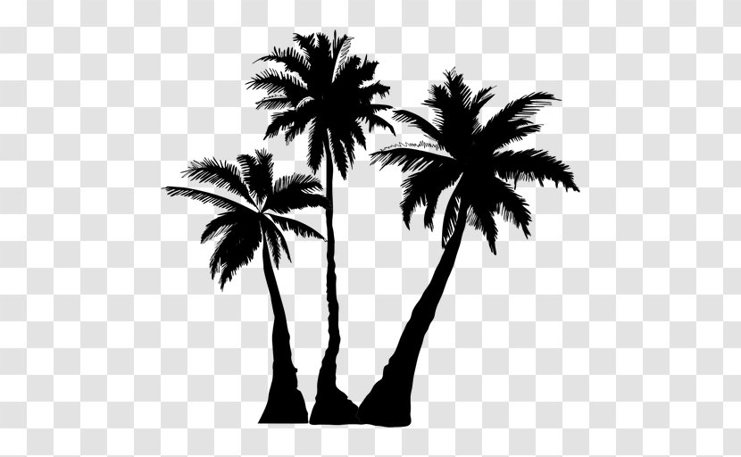 Arecaceae Silhouette Tree Clip Art - Woody Plant - Palm Trees Transparent PNG