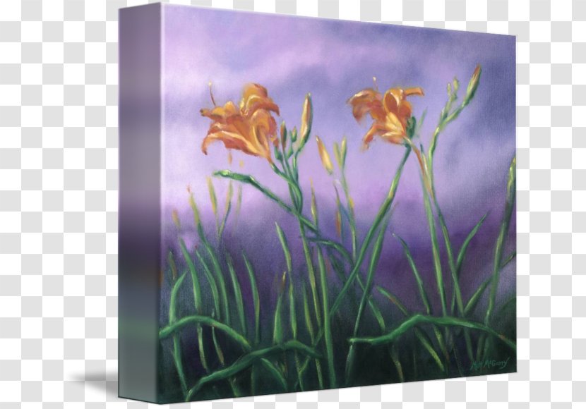 Gallery Wrap Canvas Orange Lily Art Printmaking - Flower Transparent PNG