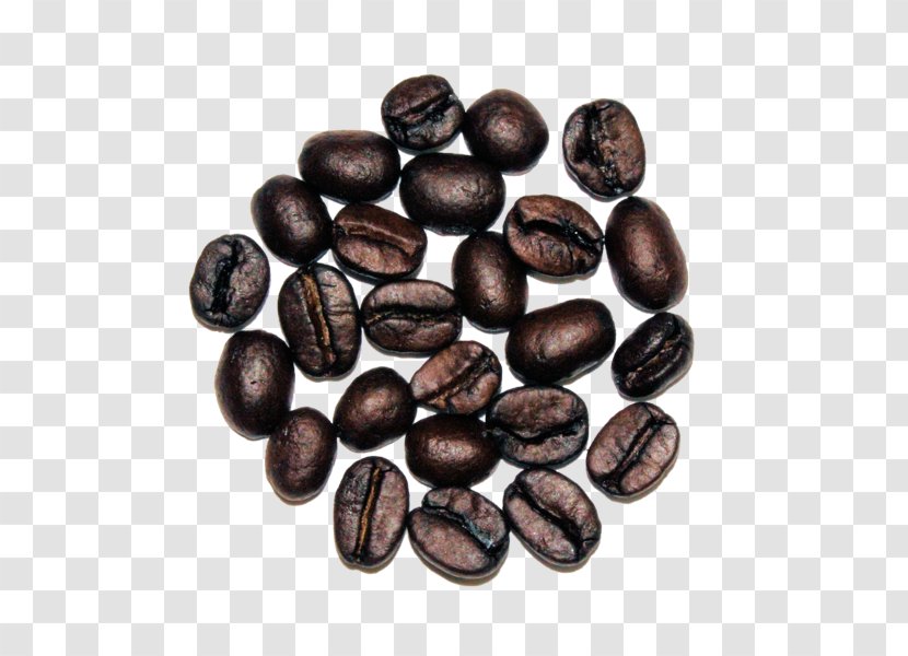 Jamaican Blue Mountain Coffee Cocoa Bean Commodity Seed Transparent PNG