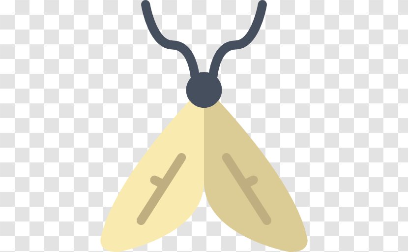 Moth - Entomology - Butterflies And Moths Transparent PNG