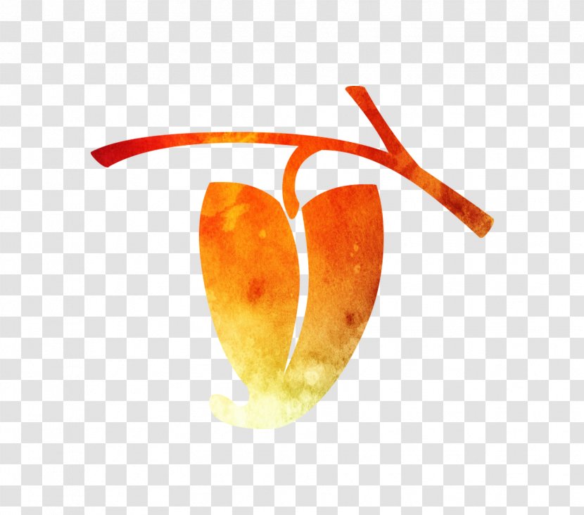 Desktop Wallpaper Font Computer Fruit Orange S.A. - Logo Transparent PNG