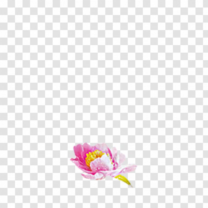 Nelumbo Nucifera Clip Art - Closeup - Lotus Pattern Transparent PNG