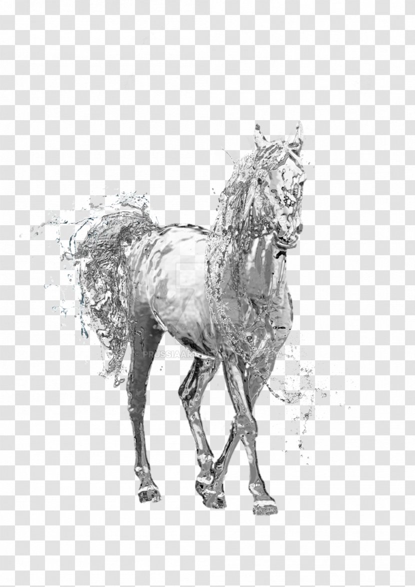 Horse Stallion Clip Art - Black And White - Seahorse Transparent PNG