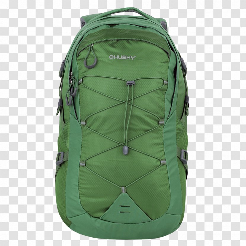 Backpack Green Travel Tourism Color Transparent PNG