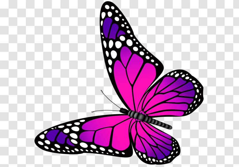 Butterfly Purple Pink Clip Art Transparent PNG