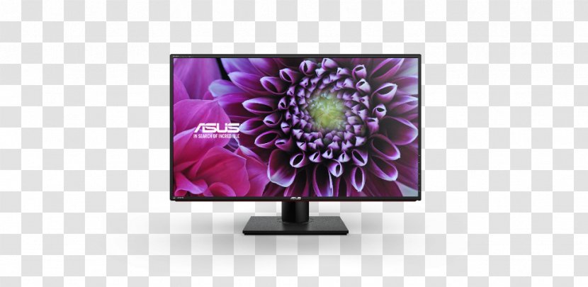 LCD Monitor PA328Q Computer Monitors IPS Panel ASUS Ultra-high-definition Television - Violet - Hdmi Transparent PNG