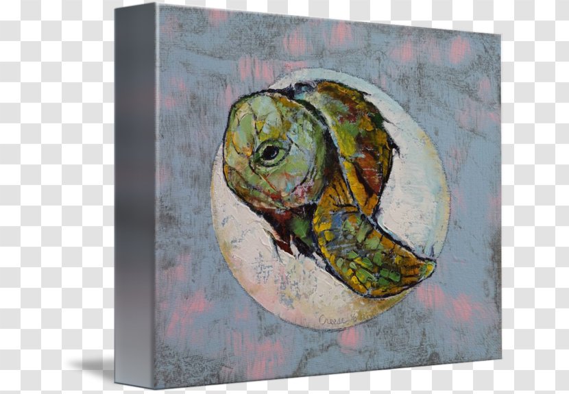 Box Turtles Art Canvas Print - Reptile - Turtle Transparent PNG