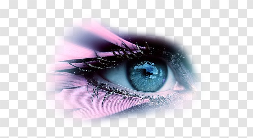 Eye YouTube Photography - Flower Transparent PNG