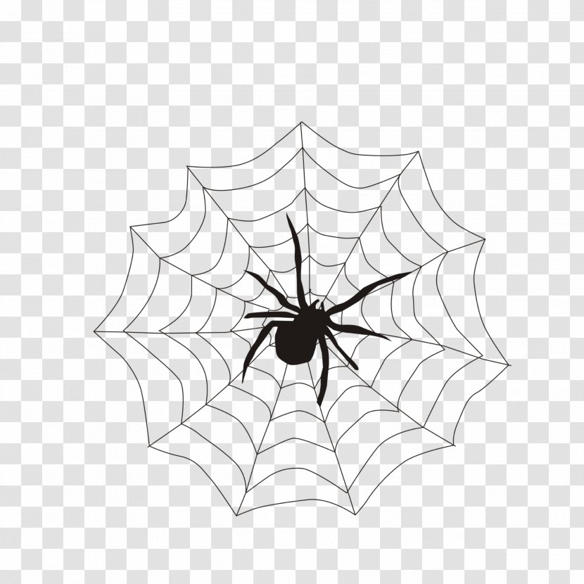 Spider Web - Blackandwhite - Symmetry Plant Transparent PNG