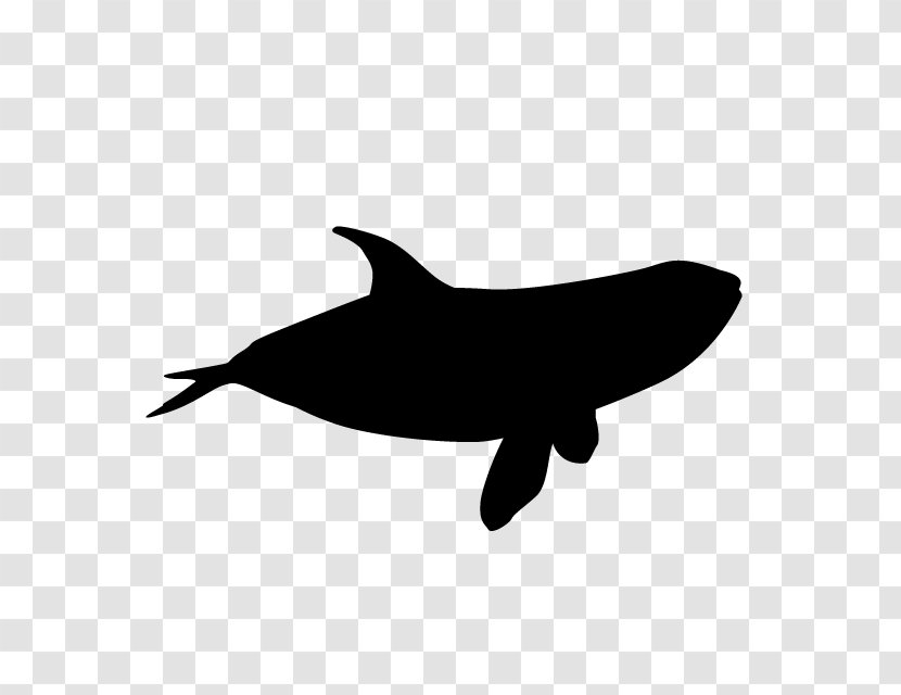 Music Notes Cartoon - Whale - Common Dolphins Spinner Dolphin Transparent PNG