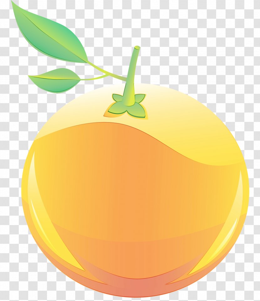 Orange - Watercolor - Citrus Grapefruit Transparent PNG