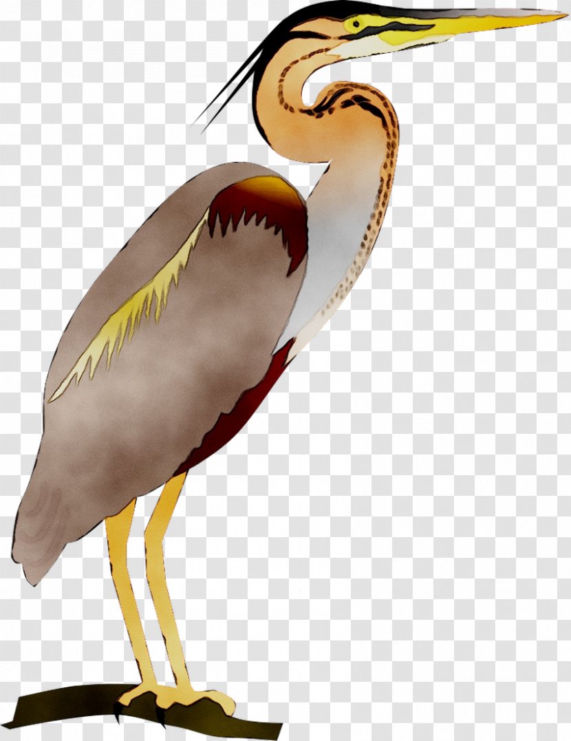 Water Bird Stork Beak Neck Transparent PNG