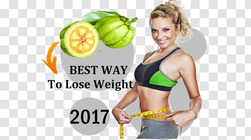 Garcinia Cambogia Weight Loss Dieting - Reduce Transparent PNG