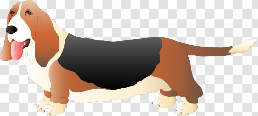 Basset Hound Beagle Pet Clip Art - Dog Transparent PNG