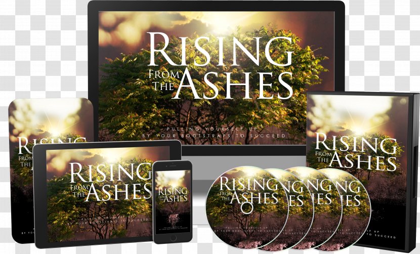 Digital Marketing Private Label Rights Sales - Reseller - Rise From The Ashes Transparent PNG