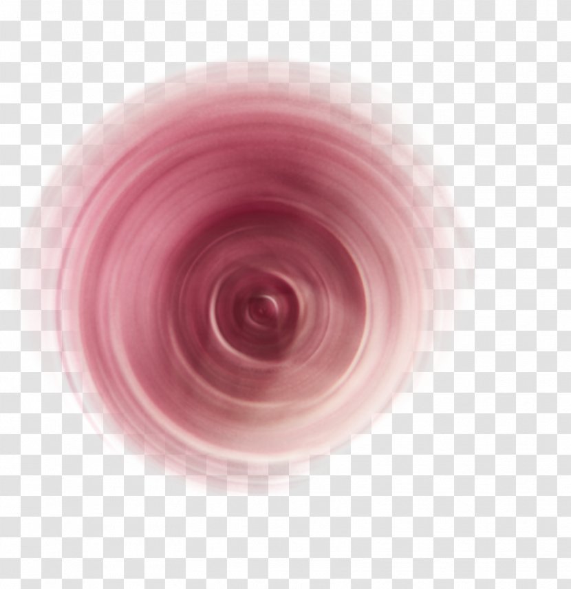 Close-up Pink M - Closeup - Design Transparent PNG