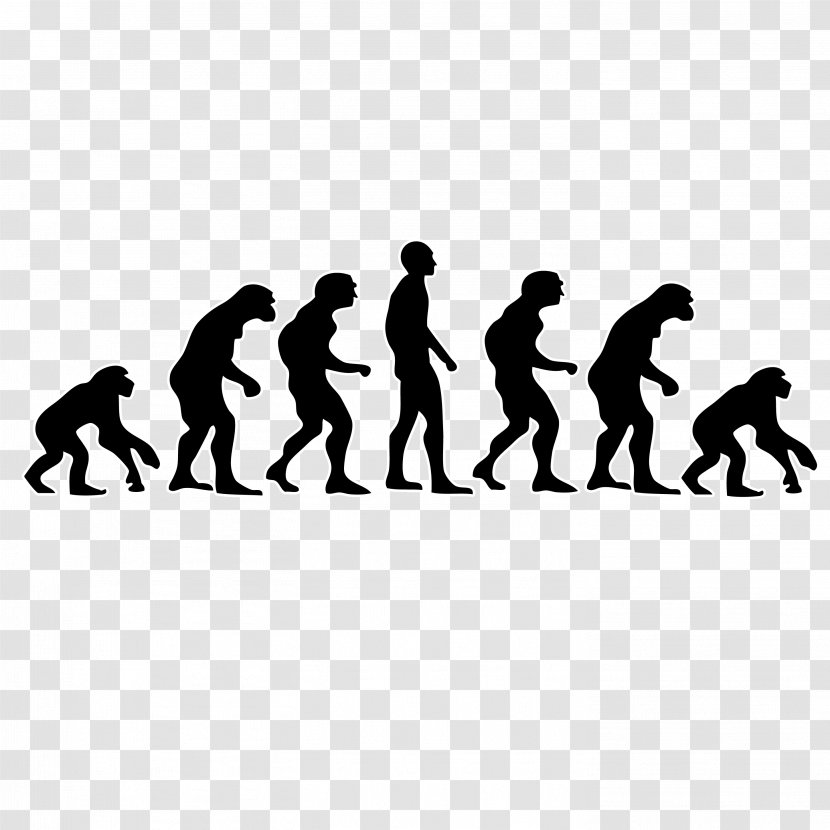 Neanderthal Human Evolution Primate - Evolutionary Biology - Ray Donovan Logo Poster Transparent PNG