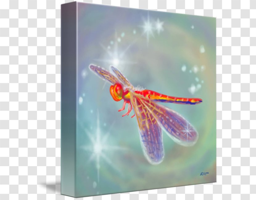 Dragonfly Insect Digital Art - Animal - Dragon Fly Transparent PNG