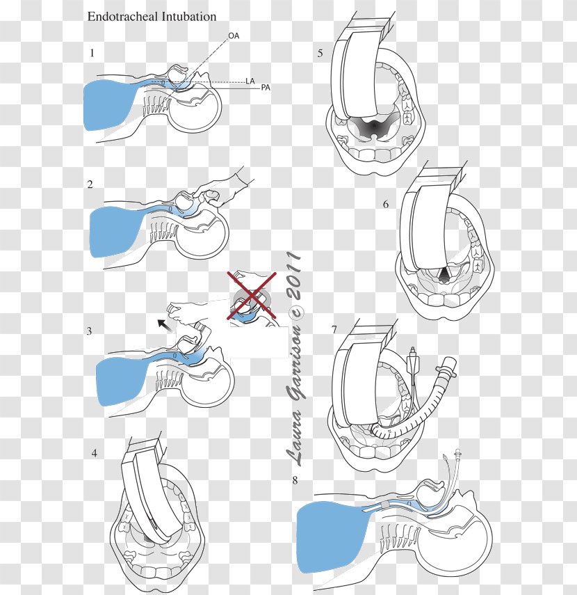 Sketch Illustration Graphic Design Shoe Clip Art - Silhouette - Midway Gatehouse Transparent PNG