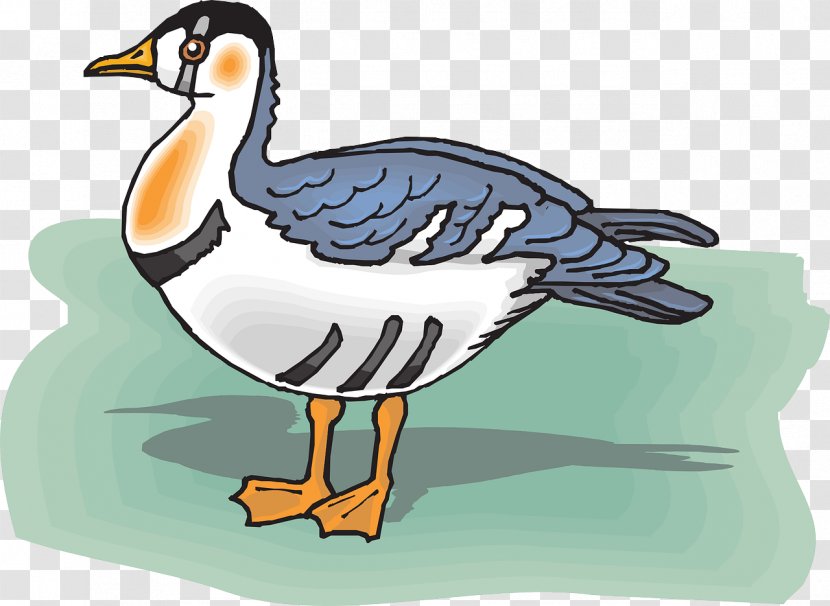 Duck Bird Goose - Falcon Transparent PNG