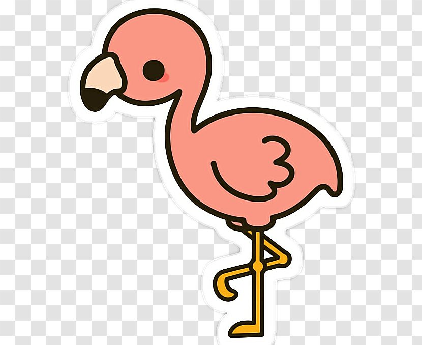 Drawing Flamingo Bird Clip Art - Beak Transparent PNG