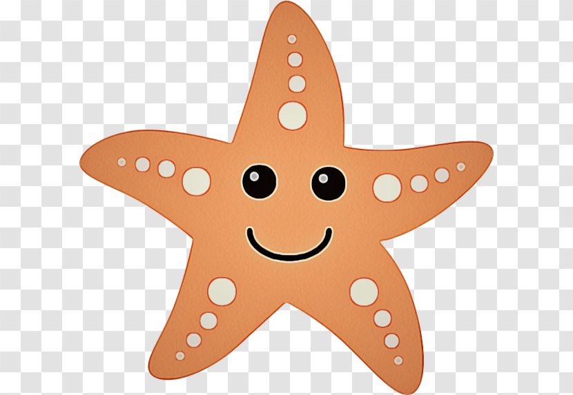 Orange - Pink - Star Starfish Transparent PNG