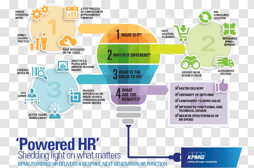 Brand Technology Diagram - Organization - Infographic Process Transparent PNG