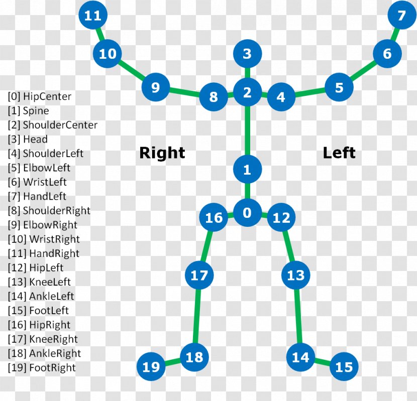 Kinect Joint Anatomy Skeleton Human Body - Heart - Sunlight 13 0 1 Transparent PNG