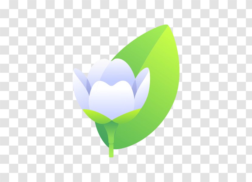 Flower Petal Leaf Desktop Wallpaper - Flowering Plant - Jasmine Transparent PNG