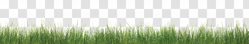 Weed Control Mulch Noxious Bed - Lawn - Grass Skirts Transparent PNG