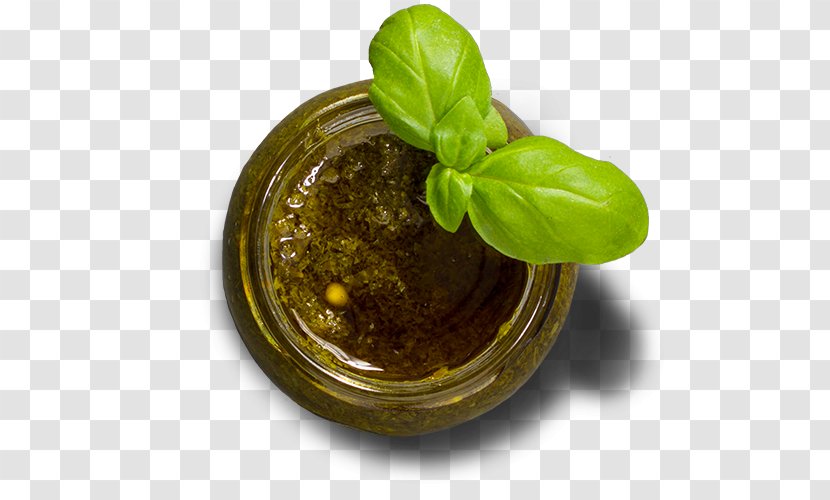 Basil Leaf Vegetable Herbalism - Pesto Transparent PNG