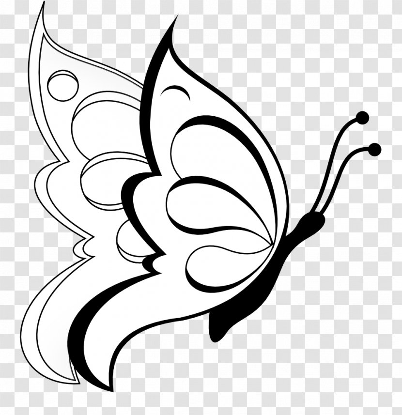 Butterfly Drawing Line Art Clip - Plant Stem - Kalash Transparent PNG
