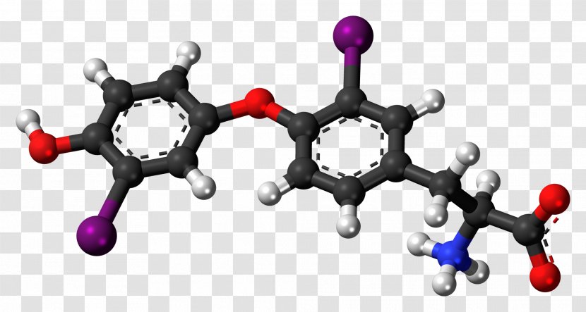 Tyrosine Dopamine Amino Acid Levodopa Phenylalanine - Tyrosinase - Molecule Transparent PNG