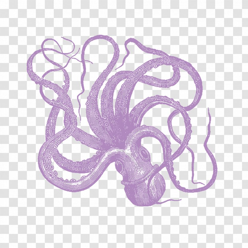 Octopus Douchegordijn Curtain Shower Bathroom - Invertebrate Transparent PNG