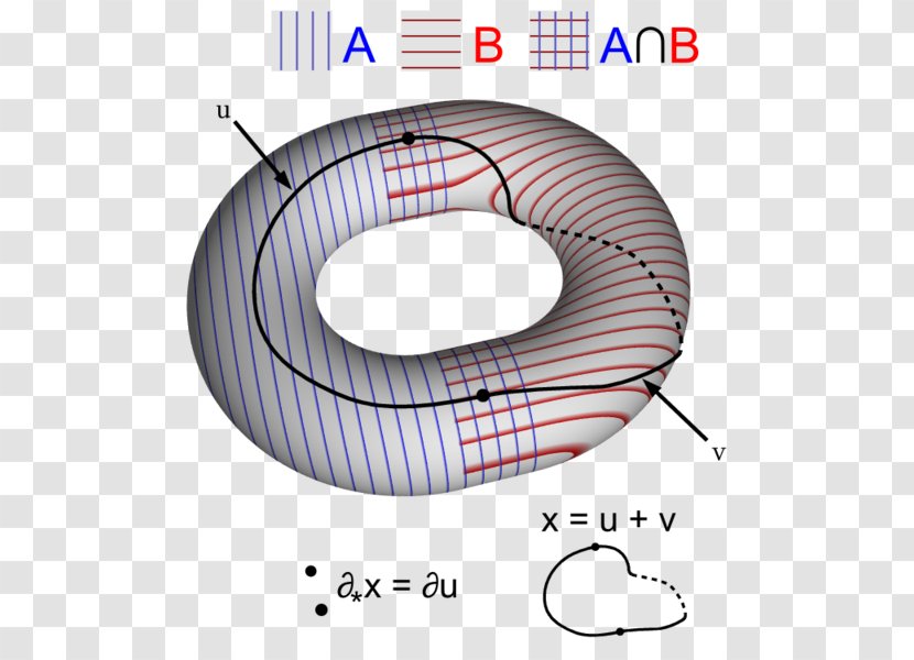 Homology Mathematics Mayer–Vietoris Sequence Torus Group - Math Question Transparent PNG