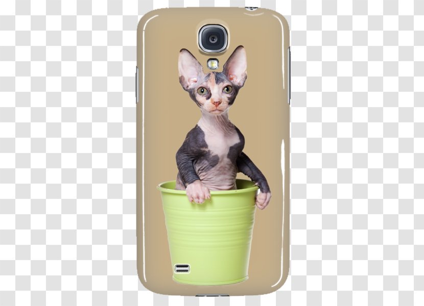 Whiskers Kitten Sphynx Cat Sock Necklace Transparent PNG