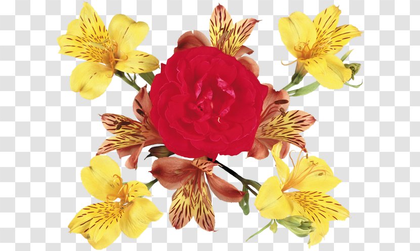 Alstroemeriaceae Cut Flowers Floral Design Flower Bouquet Transparent PNG