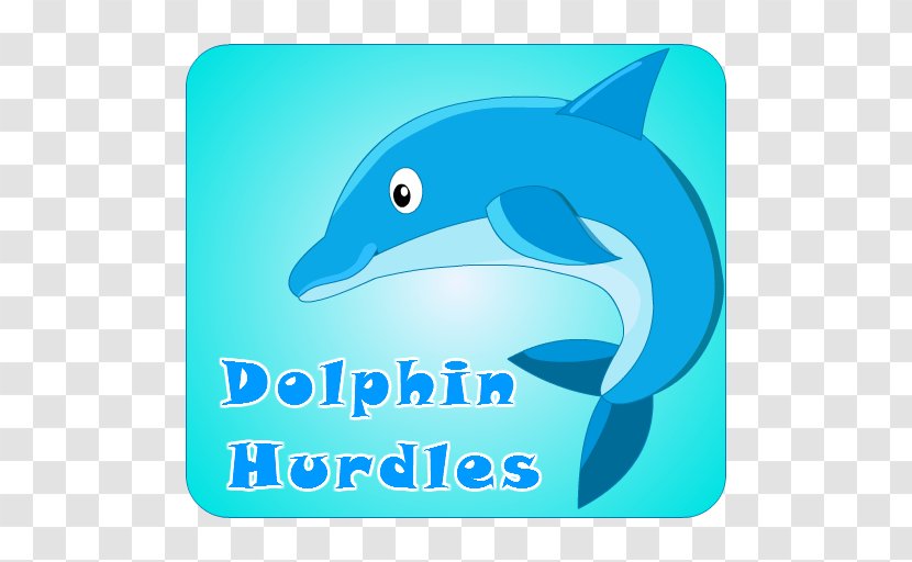 Common Bottlenose Dolphin Logo Brand Marine Biology Transparent PNG