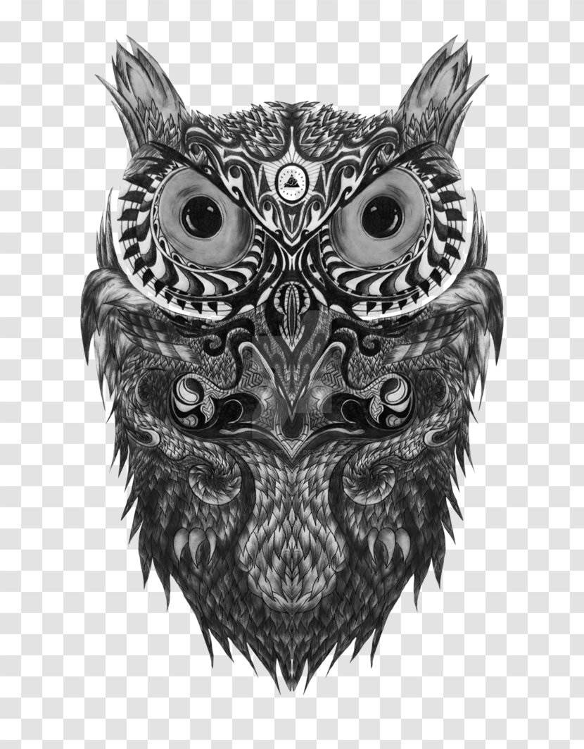 Owl Drawing /m/02csf Beak White Transparent PNG
