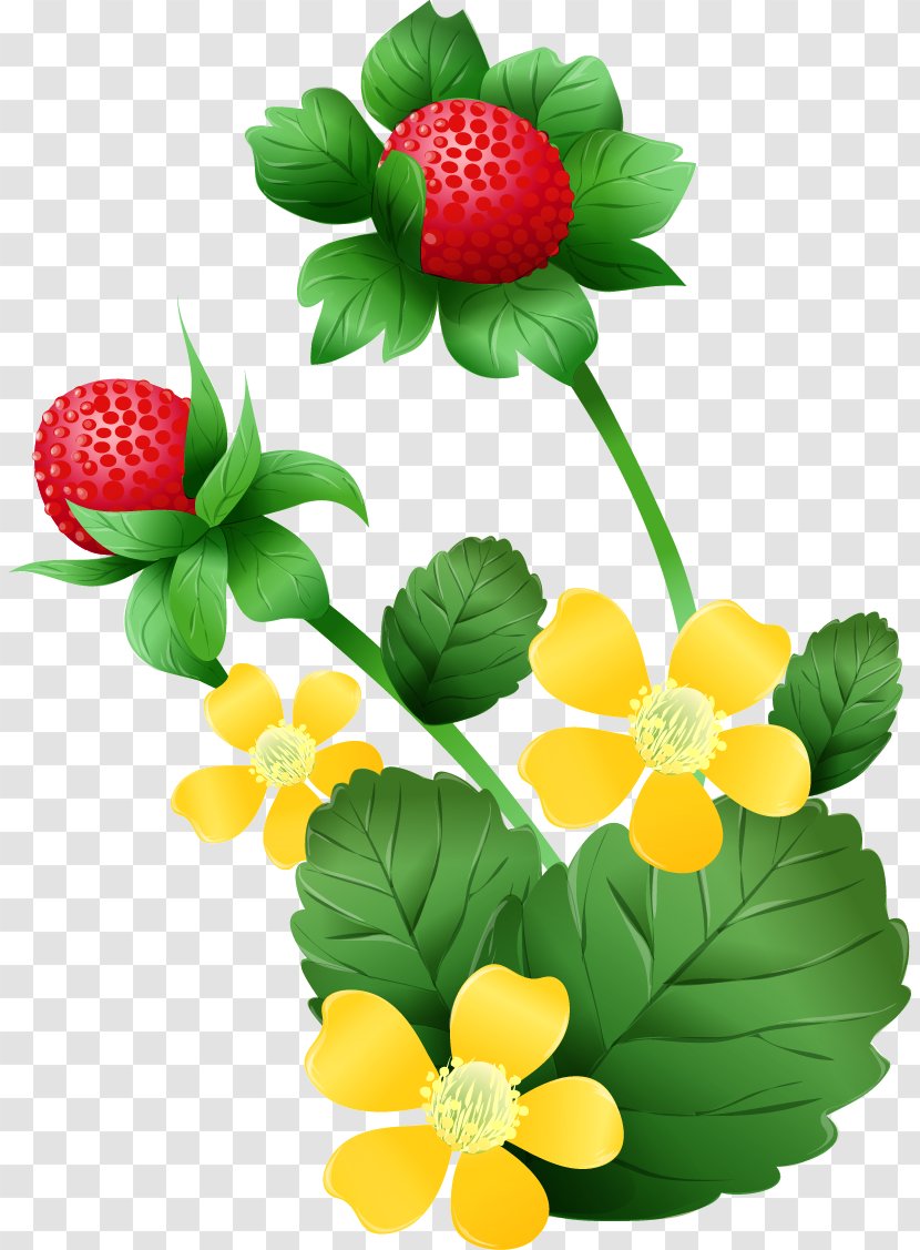 Mock Strawberry Clip Art - Grass - Vector Hand-painted Transparent PNG