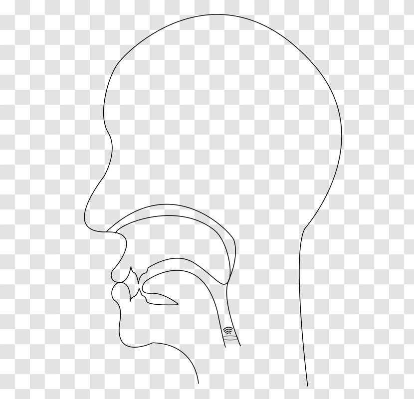 Ear Line Art Drawing /m/02csf Clip - Silhouette Transparent PNG