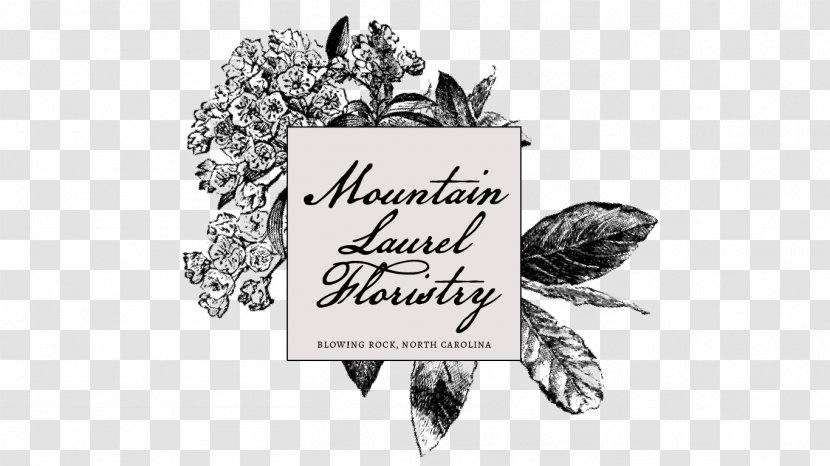 Blowing Rock Floral Design Floristry Wedding Golden Thistle - Brand - North Carolina Mountains Transparent PNG